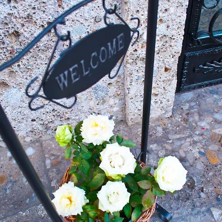 Rosner 알텐막팀퐁와