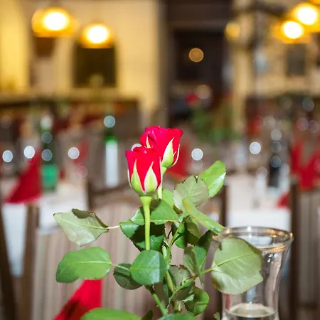 Rosner Altenmarkt im Pongau