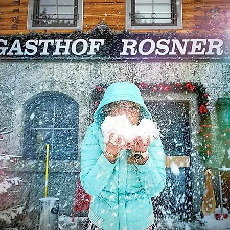 Otel Rosner 3*