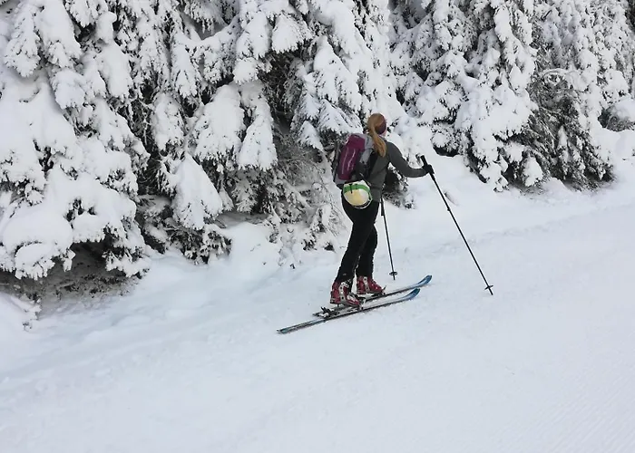 Rosner Altenmarkt im Pongau